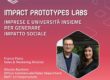IP LABS